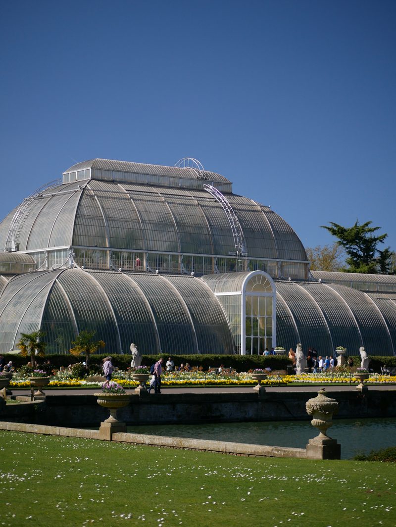 Kew Palm House glasshouse