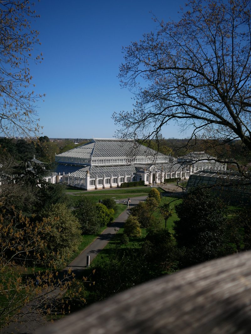 Glasshouse across the gardens