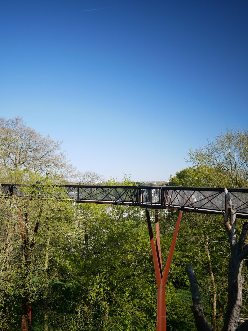 Treetop walkway, Kew Gardens