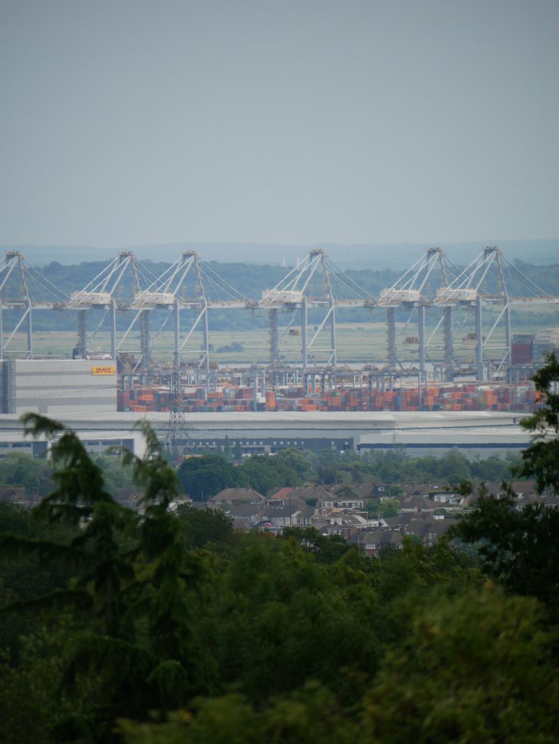 Shipping cranes at the docks
