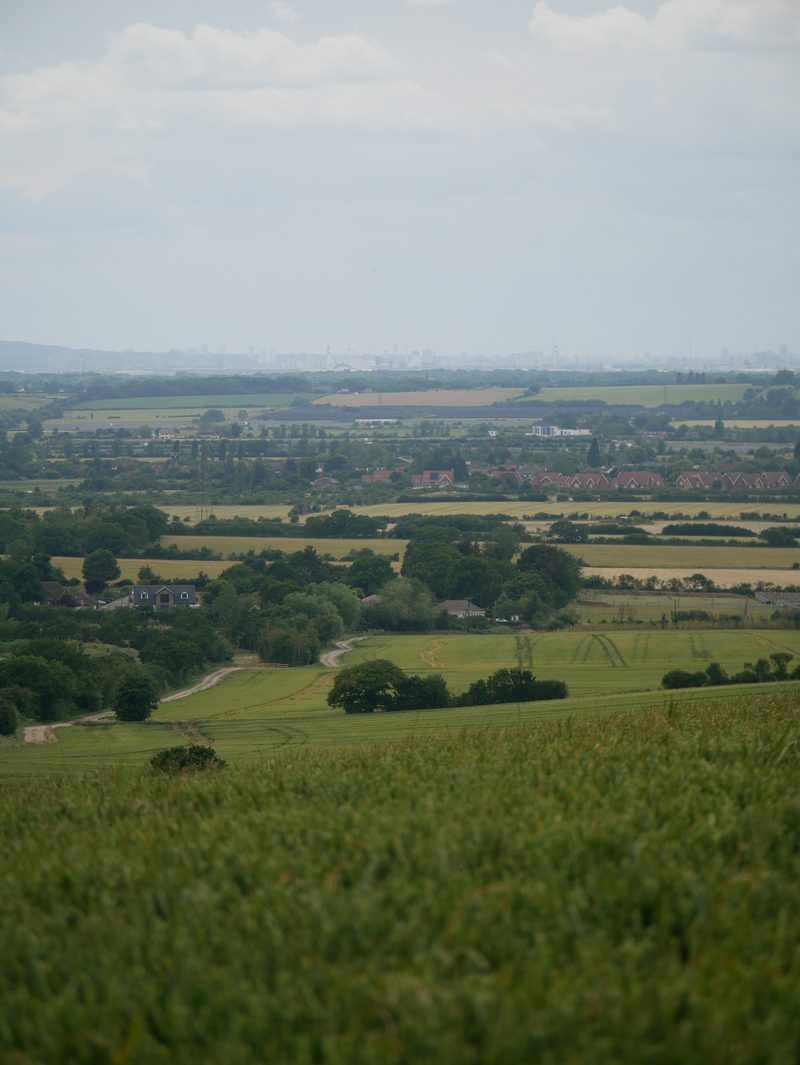 Countryside view