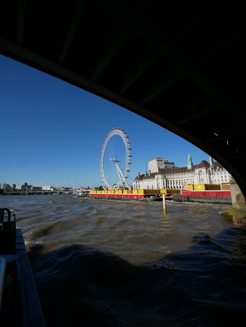 The London Eye from the water
