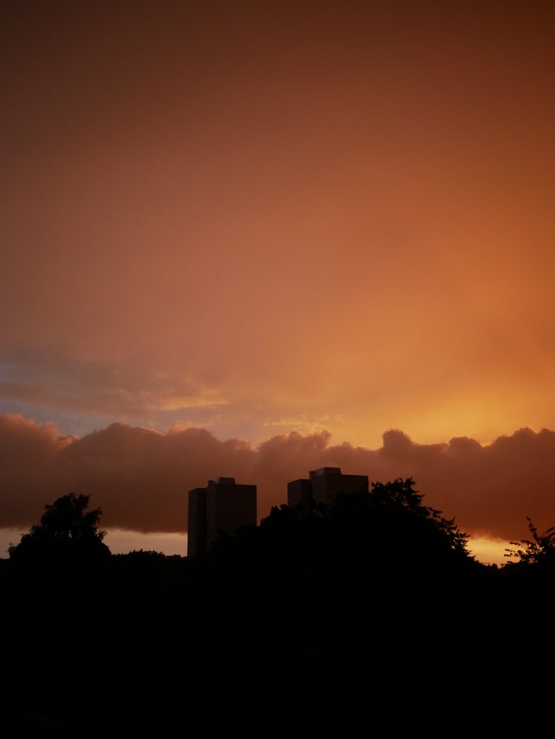 Sunset over the rooftops
